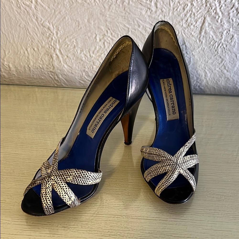 Elegant Black and Silver Heels